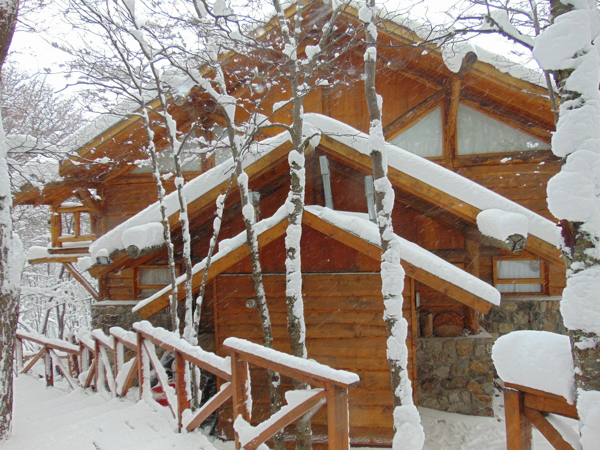 Patagonia Villa Lodge Ushuaia Kültér fotó